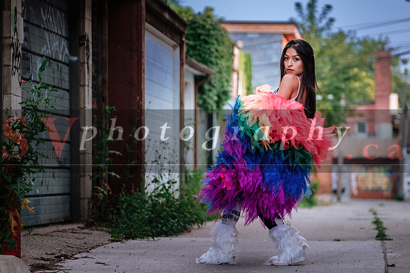 12th Annual Porch View Dances (PVD)