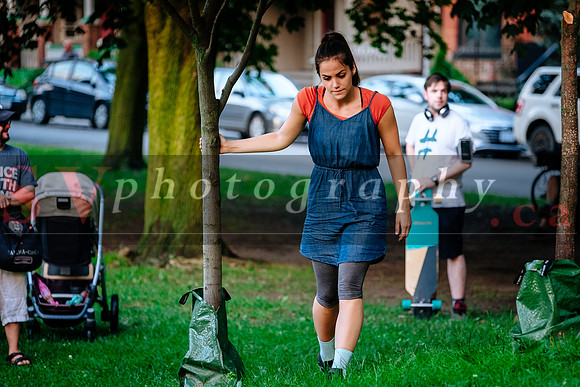 Porch View Dances 2019