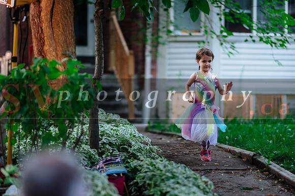 Porch View Dances 2019
