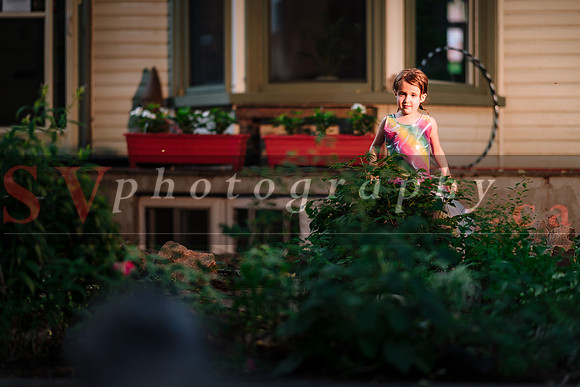 Porch View Dances 2019