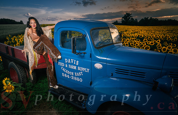 Sunflower Farm