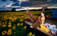 Sunflower Farm