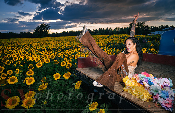 Sunflower Farm