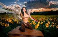 Sunflower Farm
