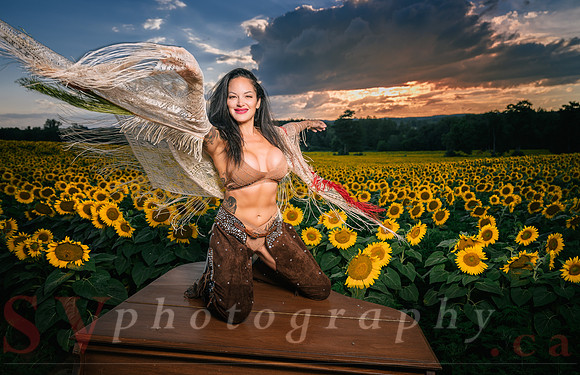 Sunflower Farm