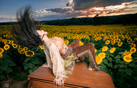Sunflower Farm