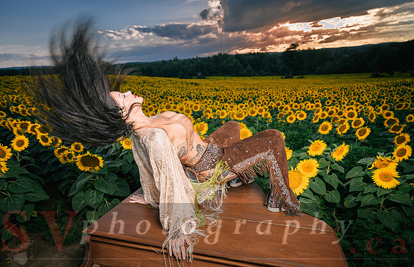 Sunflower Farm