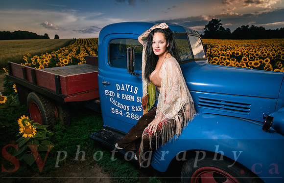 Sunflower Farm