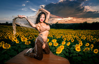 Sunflower Farm
