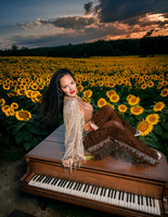 Sunflower Farm
