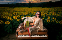 Sunflower Farm