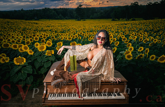 Sunflower Farm