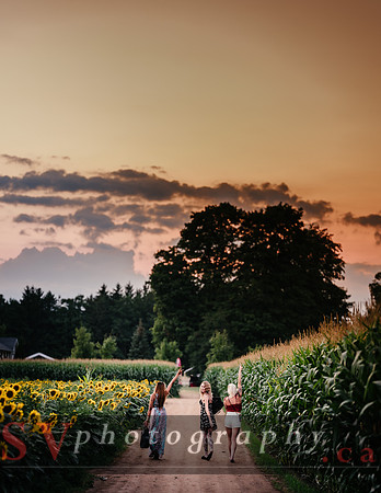 Girls at the Farm