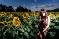 Sunflower Farm