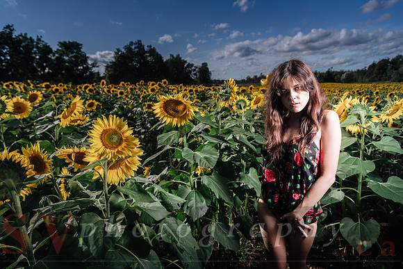 Sunflower Farm