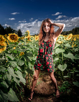 Sunflower Farm