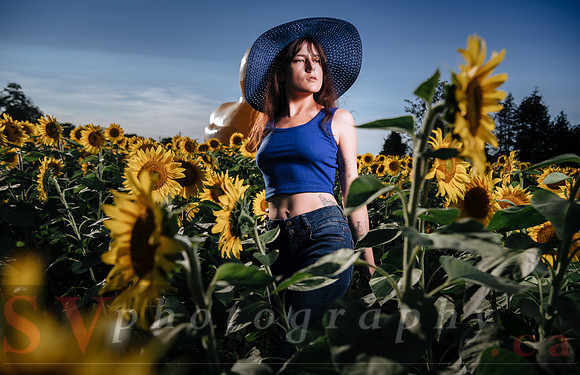 Sunflower Farm