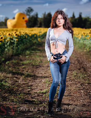 Sunflower Farm
