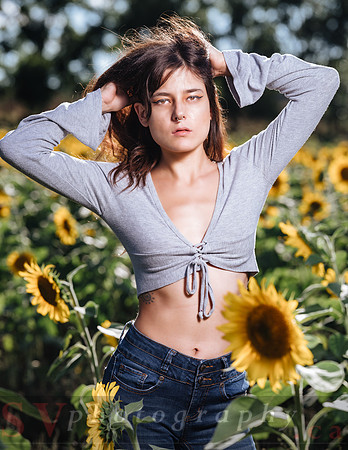 Sunflower Farm