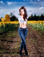 Sunflower Farm