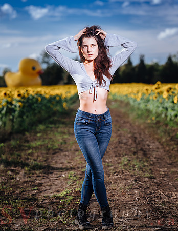 Sunflower Farm