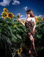 Sunflower Farm