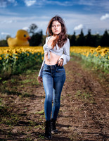 Sunflower Farm