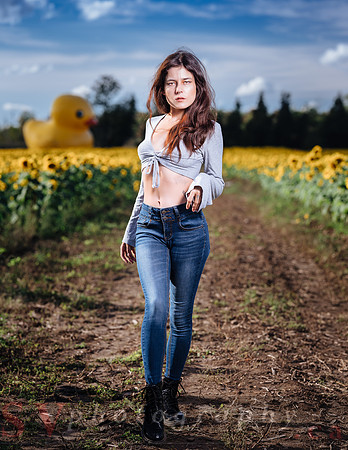 Sunflower Farm