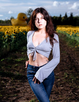 Sunflower Farm