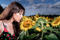 Sunflower Farm