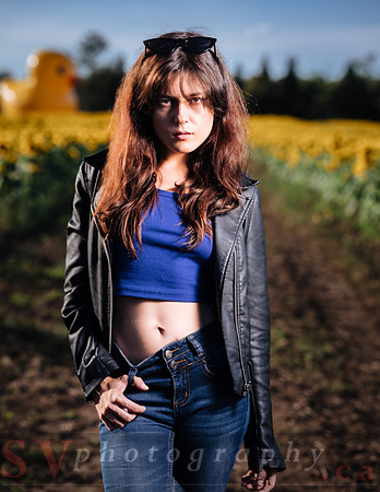 Sunflower Farm