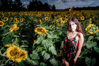 Sunflower Farm