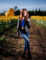 Sunflower Farm