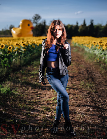 Sunflower Farm