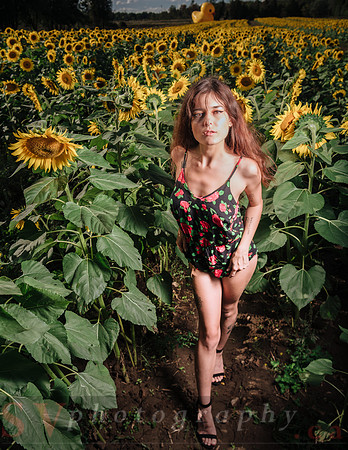 Sunflower Farm