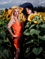 Sunflower Farm