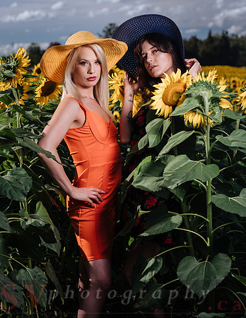 Sunflower Farm