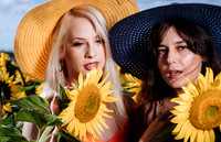 Sunflower Farm
