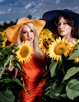 Sunflower Farm
