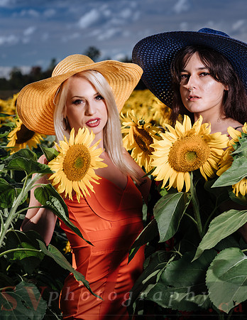 Sunflower Farm