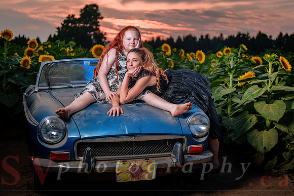 Sunflower Farm