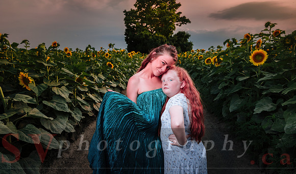 Sunflower Farm