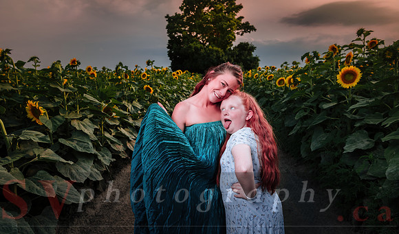 Sunflower Farm