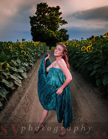 Sunflower Farm