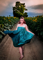 Sunflower Farm