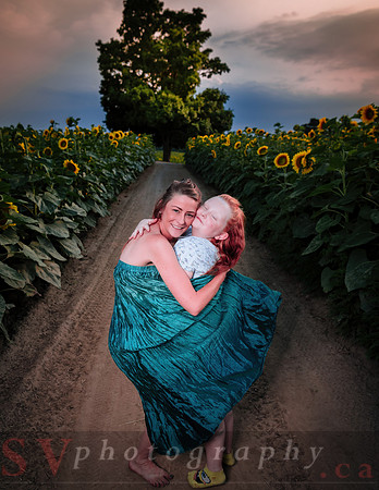 Sunflower Farm