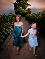 Sunflower Farm