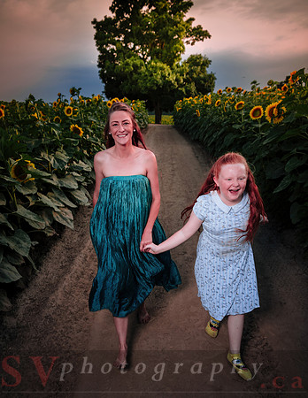 Sunflower Farm