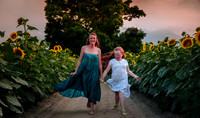 Sunflower Farm