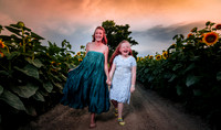 Sunflower Farm